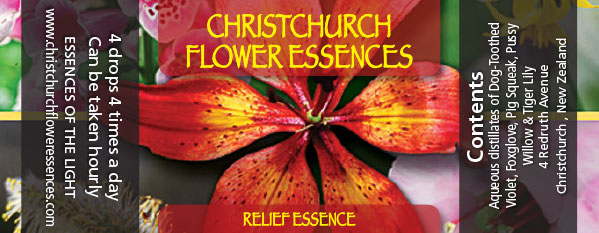 CHCH FlowerEssence labels 2