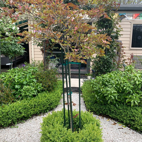 Garden 1 th